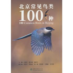 北京大学中国语言文学教材系列：中国当代文学概观