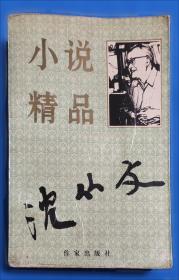 沈从文典藏文集：永远学不尽的人生-从文自传