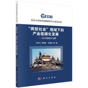 中国农民工市民化进程研究