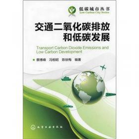 中国碳市场与环境影响研究