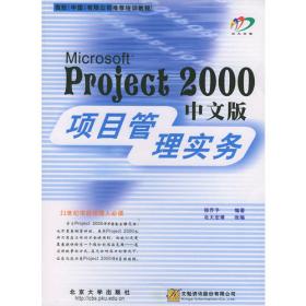 精通Visio 2000