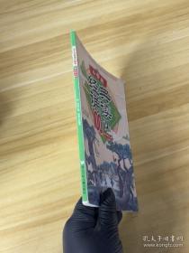 2018同等学力人员申请硕士学位英语水平全国统一考试辅导丛书 历年试题精解+全真模拟试卷 