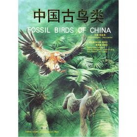 中国辽西中生代鸟类