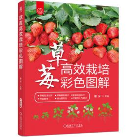 草莓全产业链质量安全风险管控手册/特色农产品质量安全管控一品一策丛书