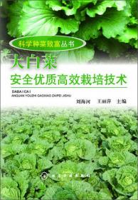 科学种菜致富丛书：黄瓜安全优质高效栽培技术