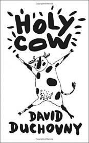Holy Cow：An Indian Adventure