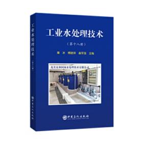 工业水处理技术（第十九册）