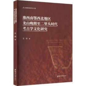 劳动者薪酬分配公正的法律实现 法学理论 王　琼 新华正版