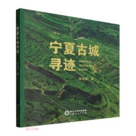 宁夏文物考古研究所丛刊之二十二：彭阳海子塬墓地发掘报告