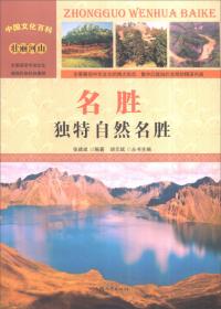 中国文化百科 壮丽河山 地质：奇特地质景观（彩图版）