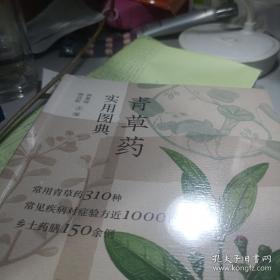 青草/里下河文学星书系