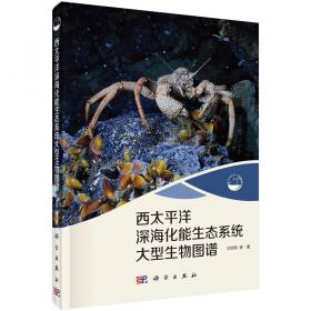 现代海洋科学·从近海到深海：中国海活额寄居蟹科分类学研究