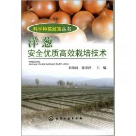 科学种菜致富丛书：大蒜安全优质高效栽培技术