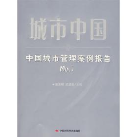 中国国力报告（2008-2009年）