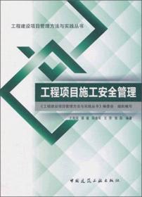工程建设项目管理方法与实践丛书：工程项目策划