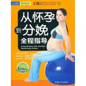 从怀孕到分娩的全程护理：孕产妇保健大全书（新）