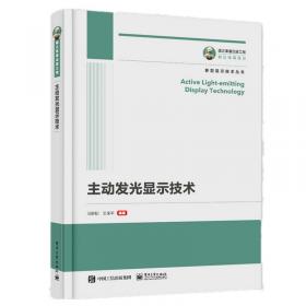 国之重器出版工程TFT-LCD原理与设计（第二版）