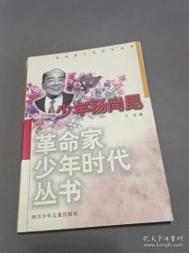 少年杨闇公