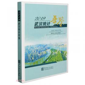 武汉统计年鉴(2020汉英对照)(精)