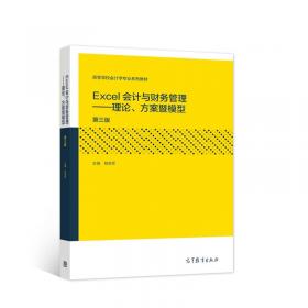 Excel会计与财务管理：理论、方案暨模型（第二版）