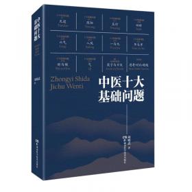 中华元文化丛书：寻找元文化