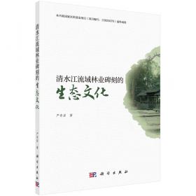 清水润生：海峡论坛清水祖师文化论集