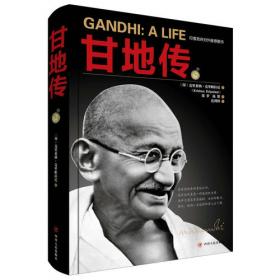甘地的武器：一个人的非暴力之路