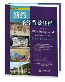 新约文献与历史导论：当代西方圣经研究译丛