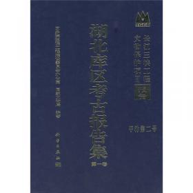 长江三峡工程文物保护项目报告：湖北库区考古报告集（第2卷）