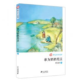 谁为教育发声/中国教育财政研究丛书