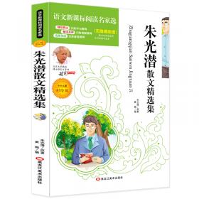 谈美书简/经典译林