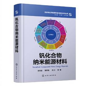 中国住房保障理论、实践和创新研究：供应体系发展模式融资支持