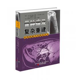 骨科标准手术技术丛书：膝关节置换术（第3版）