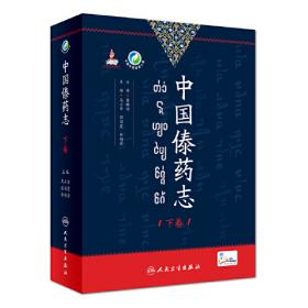 国际战略格局转变中的能源与气候问题研究 