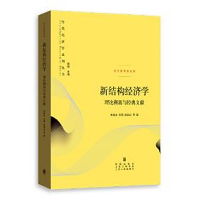 新结构经济学视角下的中国知识产权战略：理论与案例 国家社科基金后期资助项目 唐恒 等著
