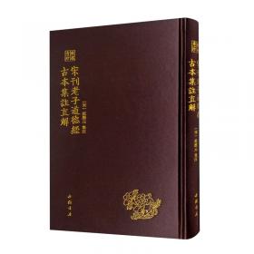 琅嬛青囊要·中国古医籍整理丛书