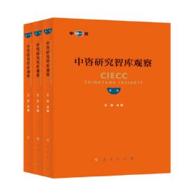 中咨研究系列丛书 中国工程咨询专业指南 第十卷 重大工程社会稳定风险分析和评估咨询专业指南