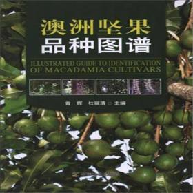 澳洲坚果种植者手册