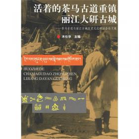 中国纳西族/中华民族全书