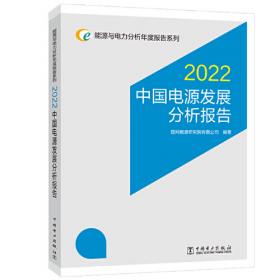 全球能源分析与展望 2021