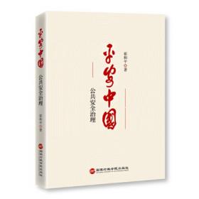 平安中国蓝皮书：平安北京建设发展报告（2020）