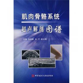 发育性髋关节发育不良——从早期超声诊断到有效治疗