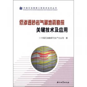 中国石油勘探工程技术攻关丛书：低阻油气藏测井评价技术及应用