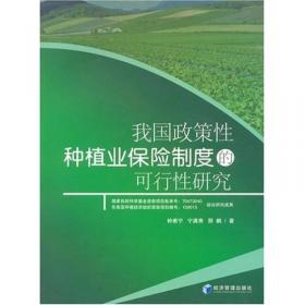 中国粮食安全保障：理论与政策选择