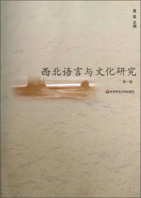 白龙江流域汉语方言语法研究