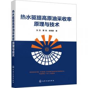 热水沉积成岩成矿作用:以阿尔泰泥盆纪火山沉积盆地为例