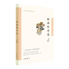 中国诗学史