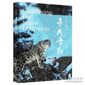 数智化时代生涯辅导的理论与实践