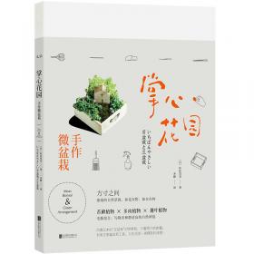 掌心编织：世界传统花样的娃娃衣饰