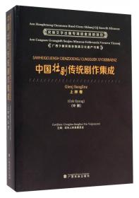 广西少数民族非物质文化遗产书库：壮族俗语集成（靖西篇）